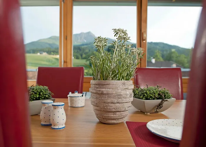 شقة مارتينشوف